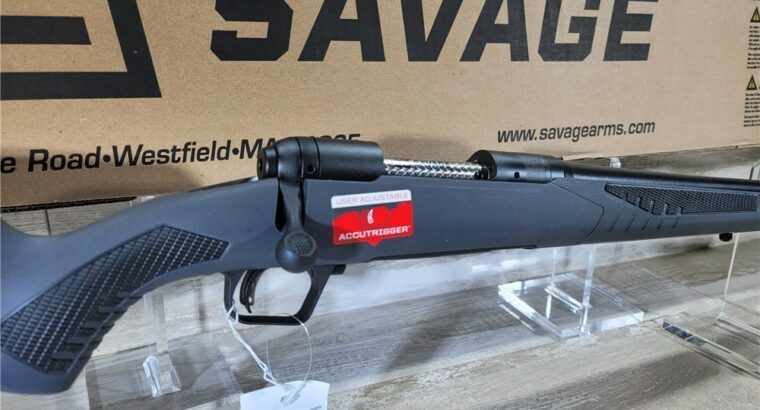 Savage Model 110 Hunter .243 Win Jeweled Bolt 57063