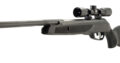 GAMO BIG CAT 1250 AIR RIFLE