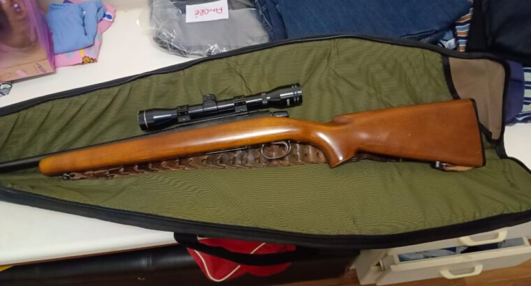 Remington 243