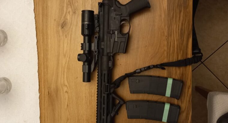 Savage MSR 15 Recon ( Precision AR15 )