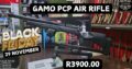 Gamo Arrow PCP Air Rifle