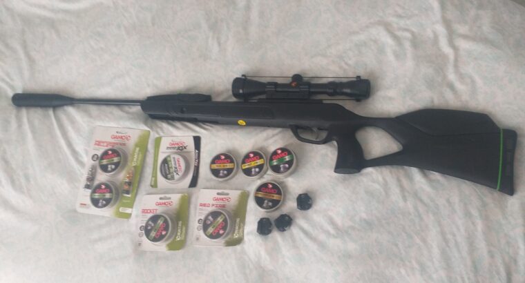 Gamo Swarm Magnum 10x gen3i .22cal