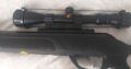 Gamo Swarm Magnum 10x gen3i .22cal