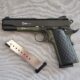 SIG SAUER P226 AND CZ Glock 17,19,20,21,42, without papers,